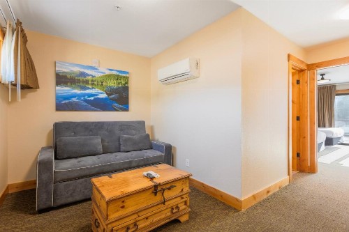 Coyote Mountain Lodge - image 45