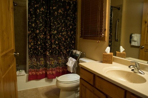 Silver Moon Inn - image 50