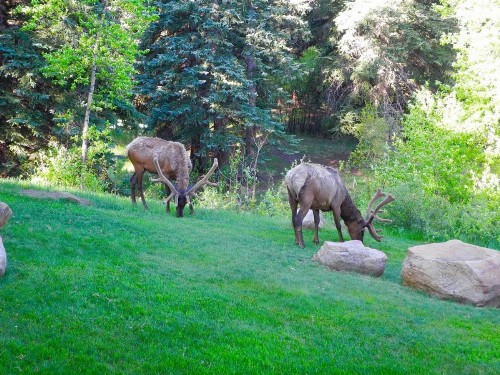Romantic RiverSong Inn - image 23