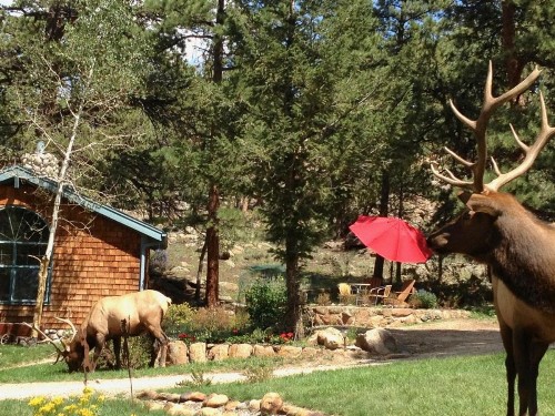 Romantic RiverSong Inn - image 28