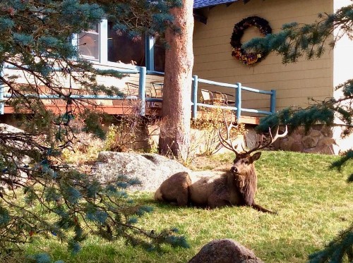 Romantic RiverSong Inn - image 30