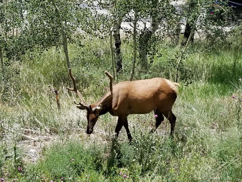 Kokopelli Inn - image 25