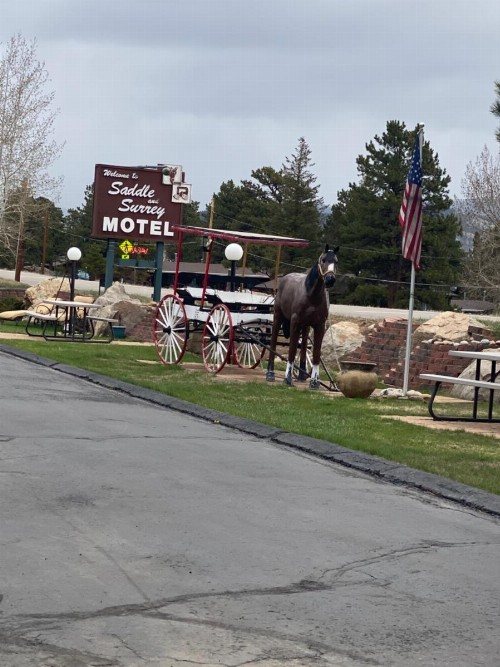 Saddle & Surrey Motel - image 2