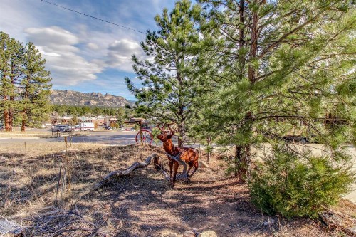 Historic Wilderness Retreat - image 11