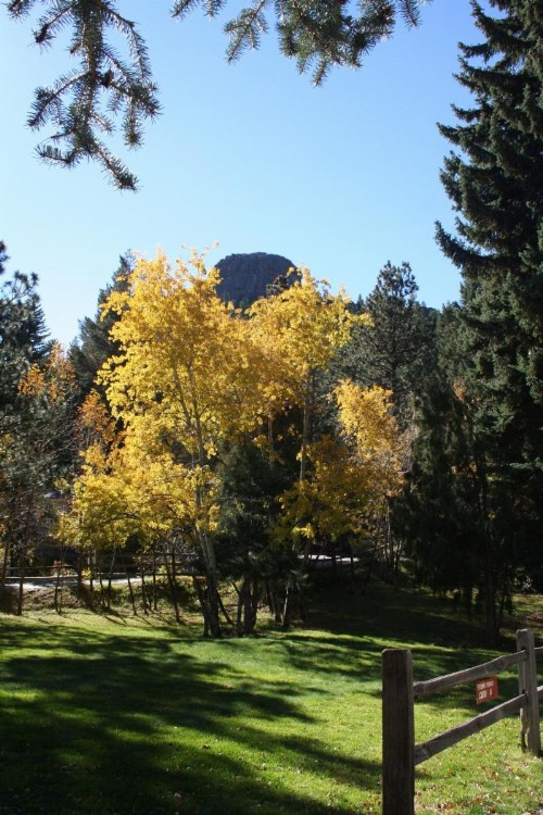 Streamside on Fall River - image 12