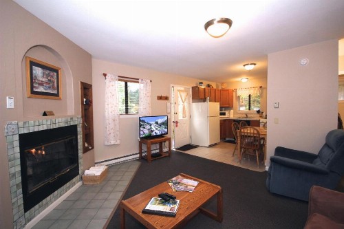 Streamside on Fall River - image 32