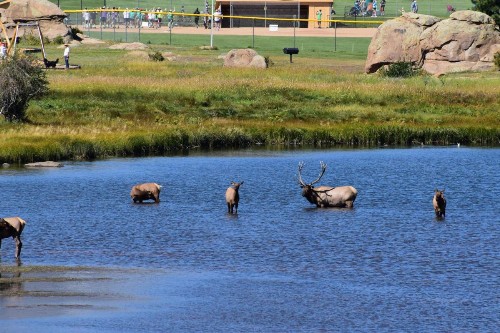 Estes Lake Lodge - image 19