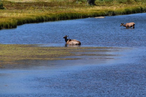 Estes Lake Lodge - image 21
