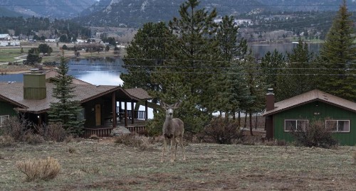 Estes Lake Lodge - image 25
