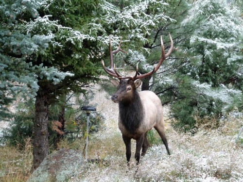 Estes Lake Lodge - image 34