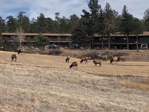 Estes Lake Lodge - image 44