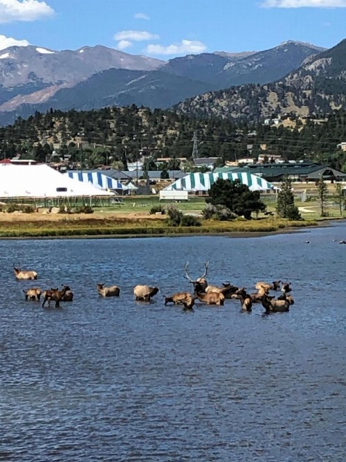 Estes Lake Lodge - image 47