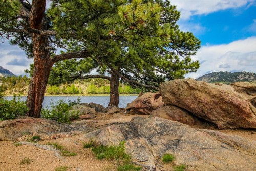 Deer Mountain Rest - image 6