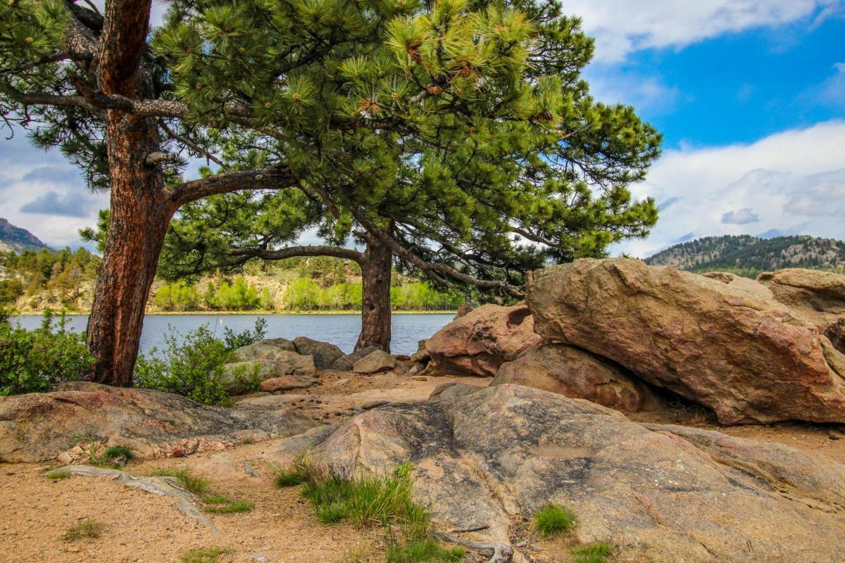 Deer Mountain Rest - image 6