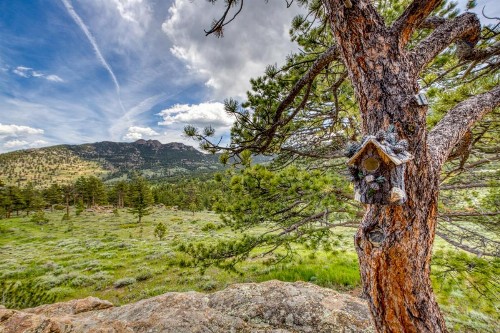 Eagle Crest - image 8