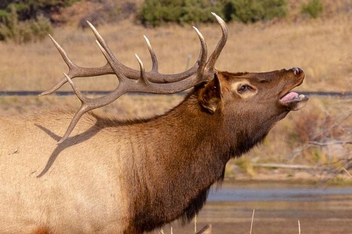 Great Outdoors - image 5