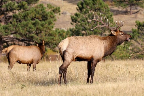Great Outdoors - image 8