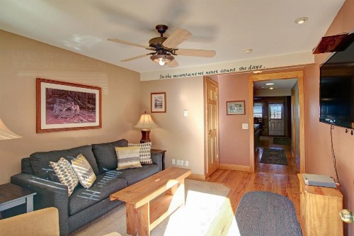 Snowdrift Peak 203 Condo - image 8
