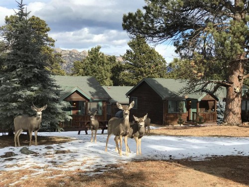 Mountain Shadows Resort - image 10