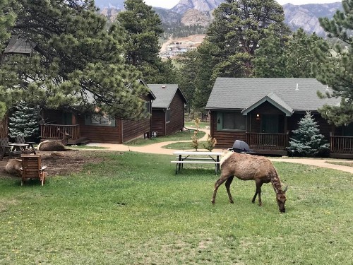 Mountain Shadows Resort - image 11