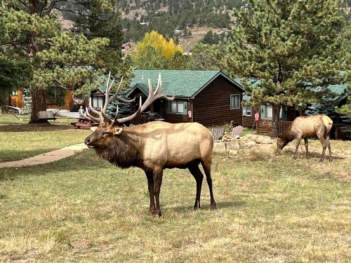 Mountain Shadows Resort - image 17