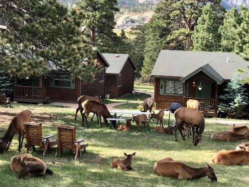 Mountain Shadows Resort - image 21