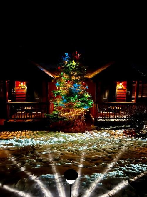 Mountain Shadows Resort - image 42