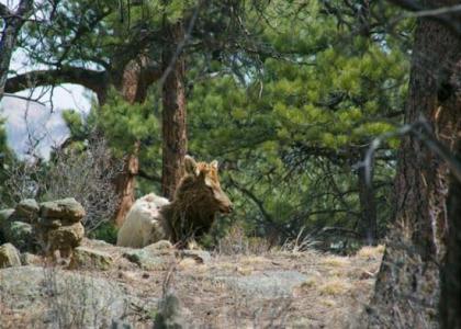 Drakes Place Estes Park Colorado