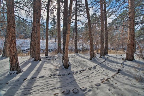 Spacious Estes Park Home on Big Thompson River! - image 2