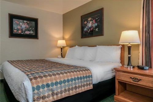 Courtesy Inn Downtown Eugene - image 5