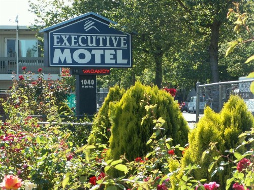 Executive Motel - image 12