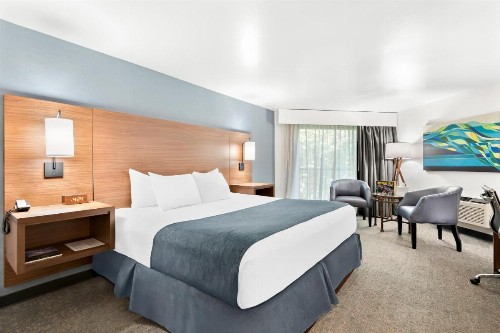 Hayward Inn - image 13