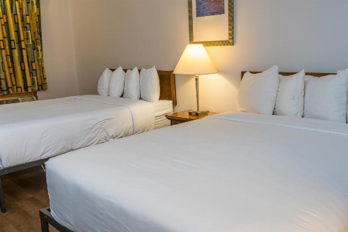 Traveler's Inn & Lodge - image 33