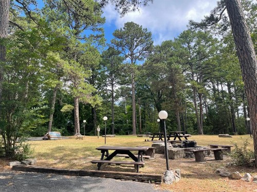 Traveler's Inn & Lodge - image 38