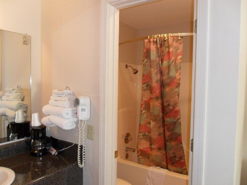 Regency Inn Eureka Springs - image 2