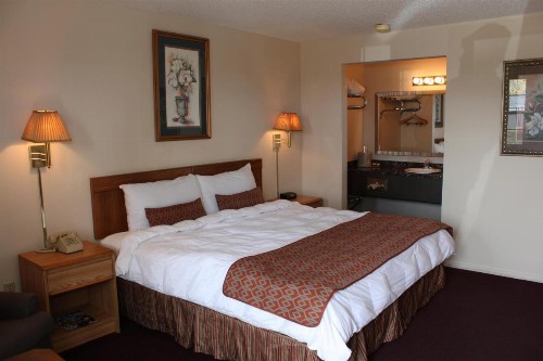 Regency Inn Eureka Springs - image 6