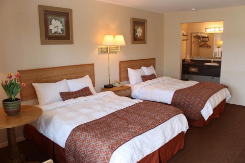 Regency Inn Eureka Springs - image 7