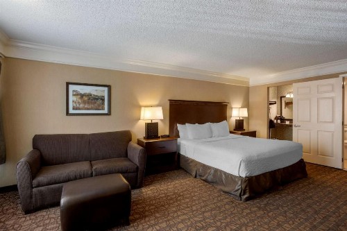 Best Western Inn of the Ozarks - image 15