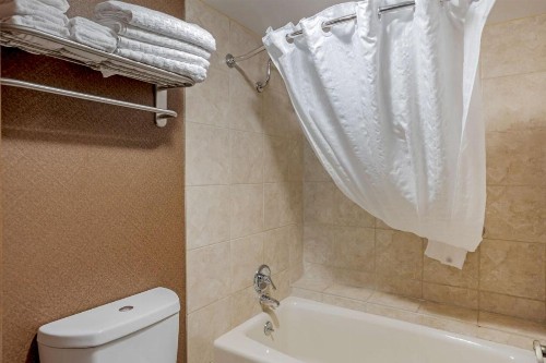 Best Western Inn of the Ozarks - image 21