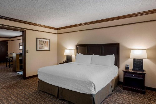 Best Western Inn of the Ozarks - image 28