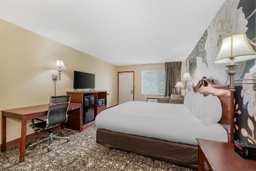Quality Inn Eureka Springs South - image 19