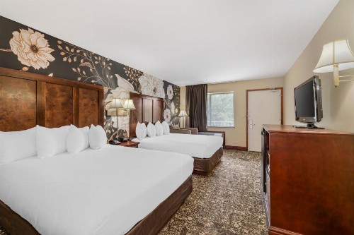 Quality Inn Eureka Springs South - image 21