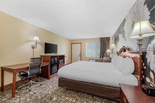 Quality Inn Eureka Springs South - image 45