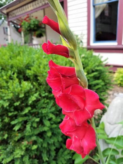 5 Ojo Inn Bed and Breakfast - image 8