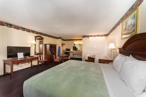 Ozarka Lodge Eureka Springs - image 18