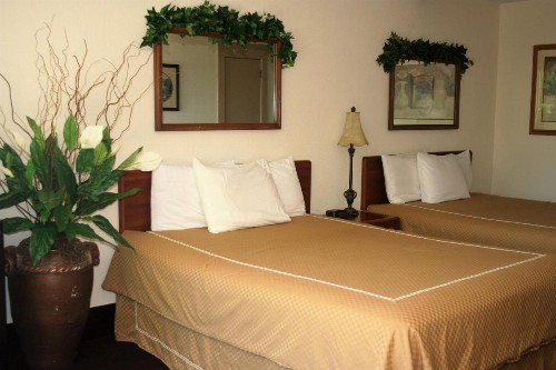 Statue Road Inn - image 24