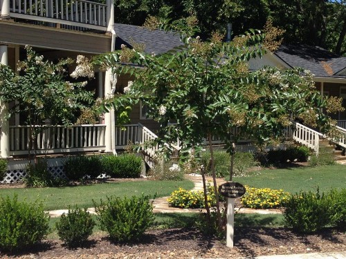 Heartstone Inn - image 47