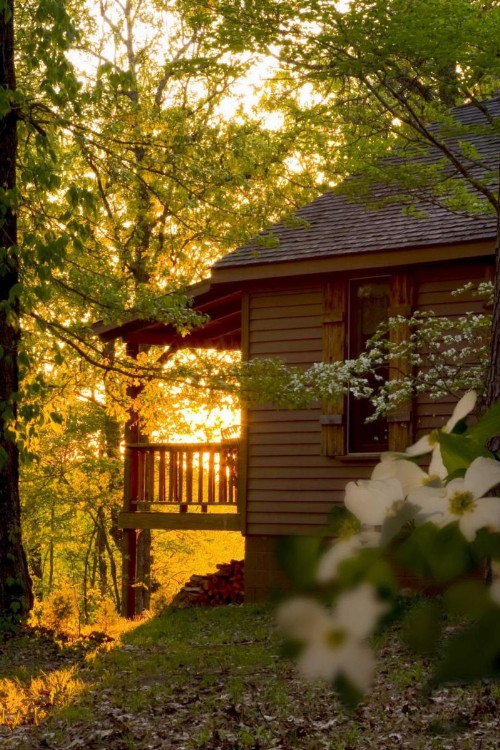 Silver Ridge Resort - image 6