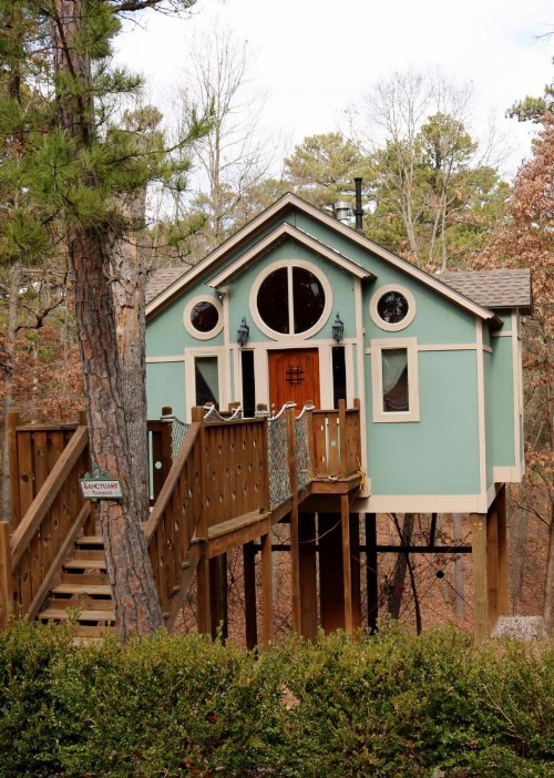 The Grand Treehouse Resort - image 21