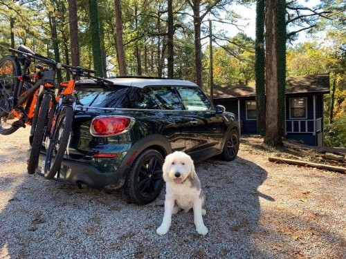 Loblolly Pines Adventure Cabin 2 King - image 13